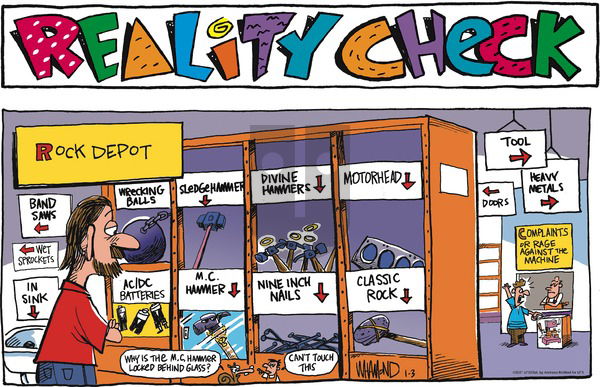 Reality Check on Sunday January 3, 2021 Comic Strip