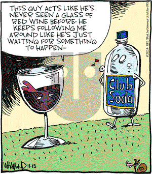 Reality Check on Saturday November 15, 2014 Comic Strip