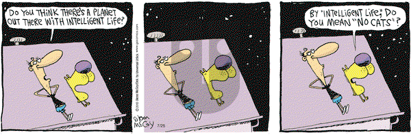 The Duplex on Saturday July 25, 2015 Comic Strip