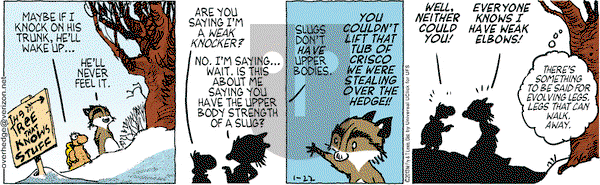 Over the Hedge on Tuesday January 22, 2013 Comic Strip