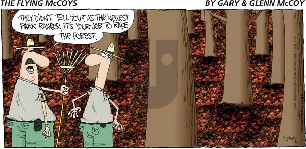 The Flying McCoys on Sunday November 14, 2010 Comic Strip