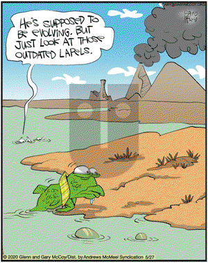 The Flying McCoys on Wednesday May 27, 2020 Comic Strip