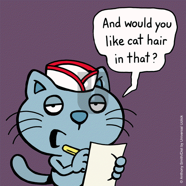 Cattitude — Doggonit on Monday February 10, 2025 Comic Strip