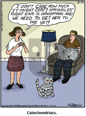 Close to Home on Saturday December 30, 2023 Comic Strip