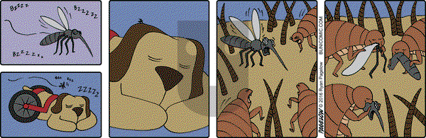 Buni on Friday July 8, 2016 Comic Strip