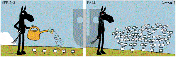 Dark Side of the Horse on Monday March 30, 2020 Comic Strip