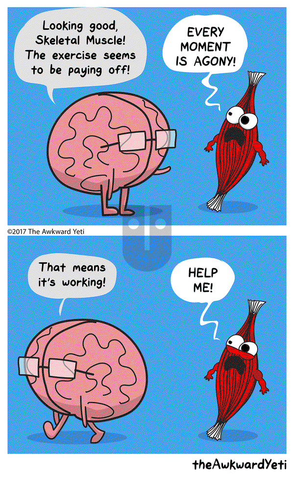The Awkward Yeti on Wednesday January 25, 2017 Comic Strip