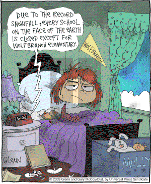 The Flying McCoys on Saturday January 10, 2009 Comic Strip