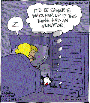 Kit 'N' Carlyle on Tuesday August 31, 2010 Comic Strip