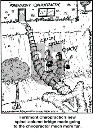 Close to Home on Thursday November 20, 2008 Comic Strip