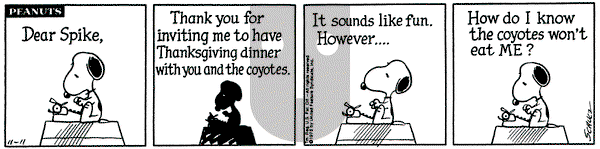 Peanuts on Tuesday November 11, 1975 Comic Strip