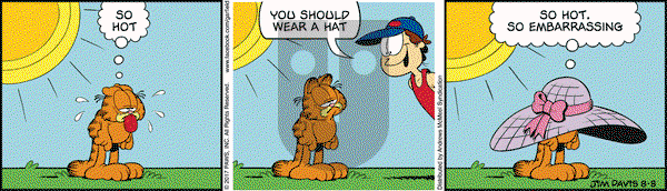 Garfield on Tuesday August 8, 2017 Comic Strip