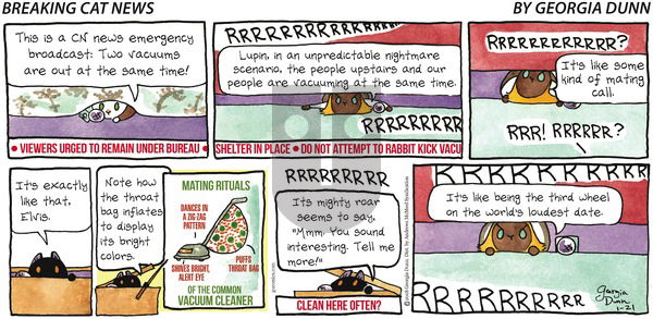 Breaking Cat News on Sunday January 21, 2018 Comic Strip