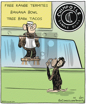 Brevity on Saturday January 5, 2013 Comic Strip