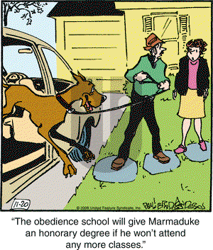 Marmaduke on Thursday November 20, 2008 Comic Strip