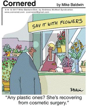 Cornered on Friday April 14, 2017 Comic Strip