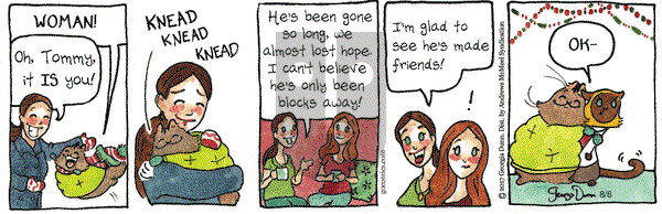 Breaking Cat News - Saturday August 6, 2022 Comic Strip