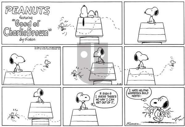 Peanuts on Sunday March 14, 1971 Comic Strip