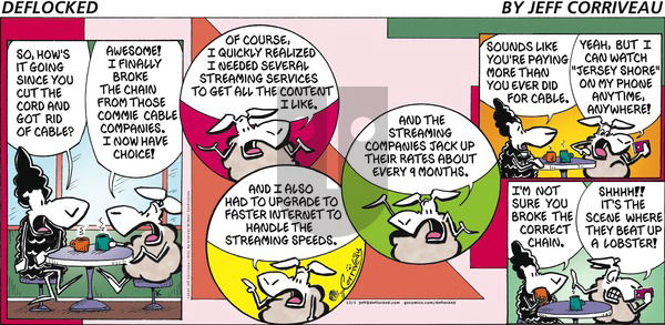 DeFlocked - Sunday December 1, 2024 Comic Strip