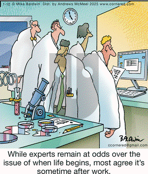 Cornered - Friday January 10, 2025 Comic Strip