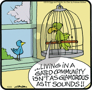 Ziggy on Wednesday October 23, 2019 Comic Strip