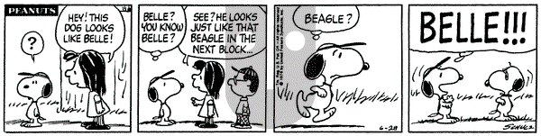 Peanuts - Monday June 28, 1976 Comic Strip