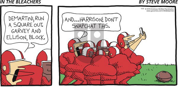 In the Bleachers on Sunday December 2, 2018 Comic Strip