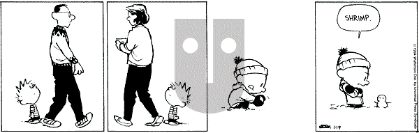 Calvin and Hobbes - Wednesday January 19, 1994 Comic Strip