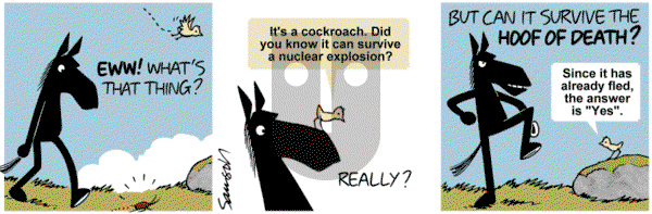 Dark Side of the Horse on Sunday April 27, 2014 Comic Strip