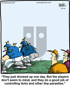 In the Bleachers - Monday December 14, 2009 Comic Strip