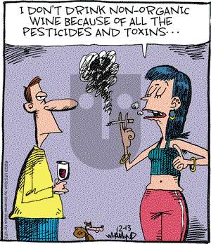 Reality Check on Friday December 13, 2013 Comic Strip