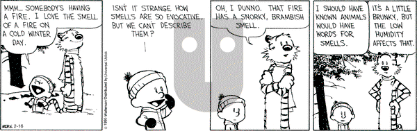 Calvin and Hobbes on Monday February 16, 2015 Comic Strip