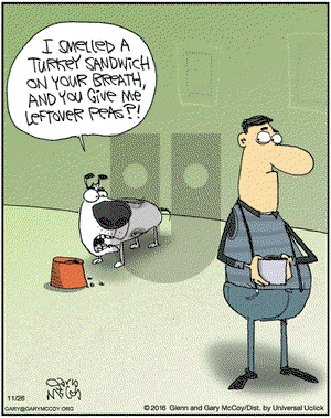 The Flying McCoys on Saturday November 26, 2016 Comic Strip