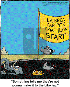 In the Bleachers - Wednesday November 30, 2022 Comic Strip