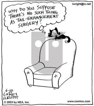 Kit 'N' Carlyle on Tuesday June 10, 2003 Comic Strip