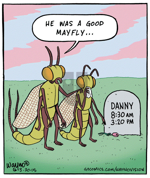 WaynoVision on Monday March 30, 2015 Comic Strip