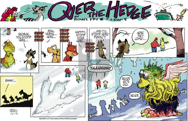 Over the Hedge on Sunday December 13, 2020 Comic Strip
