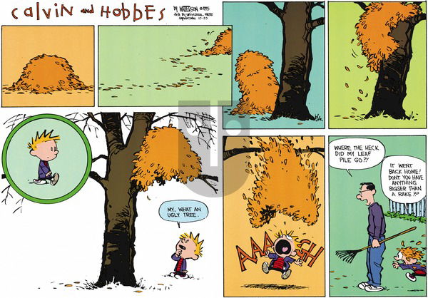 Calvin and Hobbes on Sunday October 25, 2015 Comic Strip