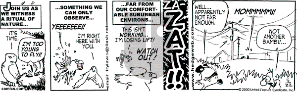 Over the Hedge on Monday May 22, 2000 Comic Strip