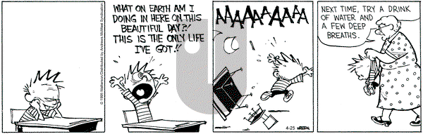 Calvin and Hobbes on Friday April 25, 2025 Comic Strip