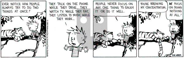 Calvin and Hobbes on Thursday August 24, 1995 Comic Strip