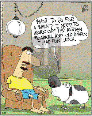 The Flying McCoys on Wednesday September 11, 2019 Comic Strip