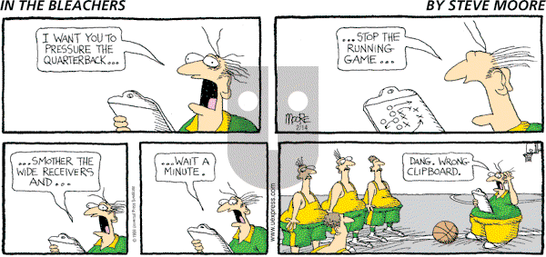 In the Bleachers on Sunday February 14, 2010 Comic Strip
