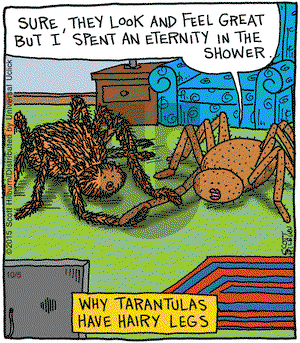 The Argyle Sweater on Monday October 5, 2015 Comic Strip