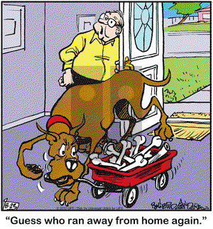 Marmaduke on Friday August 23, 2013 Comic Strip