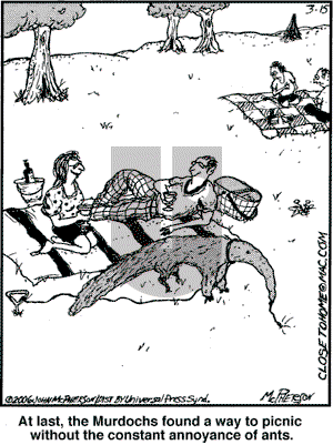 Close to Home on Wednesday March 15, 2006 Comic Strip
