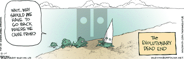 Non Sequitur on Wednesday August 14, 2019 Comic Strip
