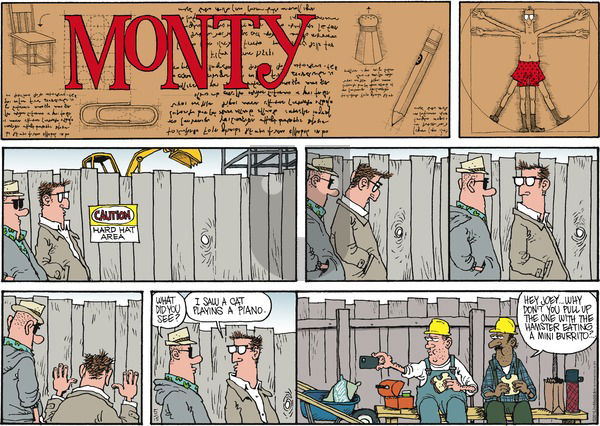 Monty on Sunday May 15, 2016 Comic Strip