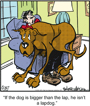 Marmaduke on Tuesday May 22, 2012 Comic Strip