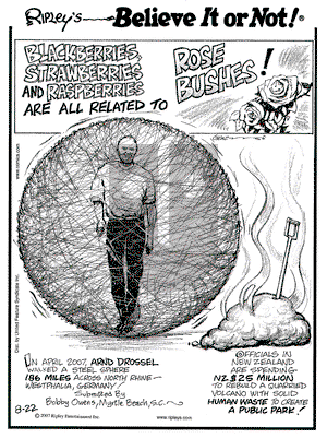 Ripley's Believe It or Not on Wednesday August 22, 2007 Comic Strip